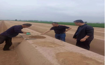 4月15日，公司李總、原料王愛(ài)兵、品管王文文奔赴菏澤深入田間地頭考察原料種植采收情況